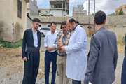 بازدید مدیر کل دامپزشکی  استان از کشتارگاه دام شهرستان سردشت